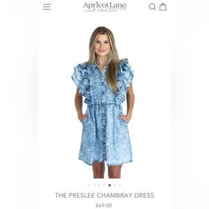 Apricot Lane Chambray button up dress